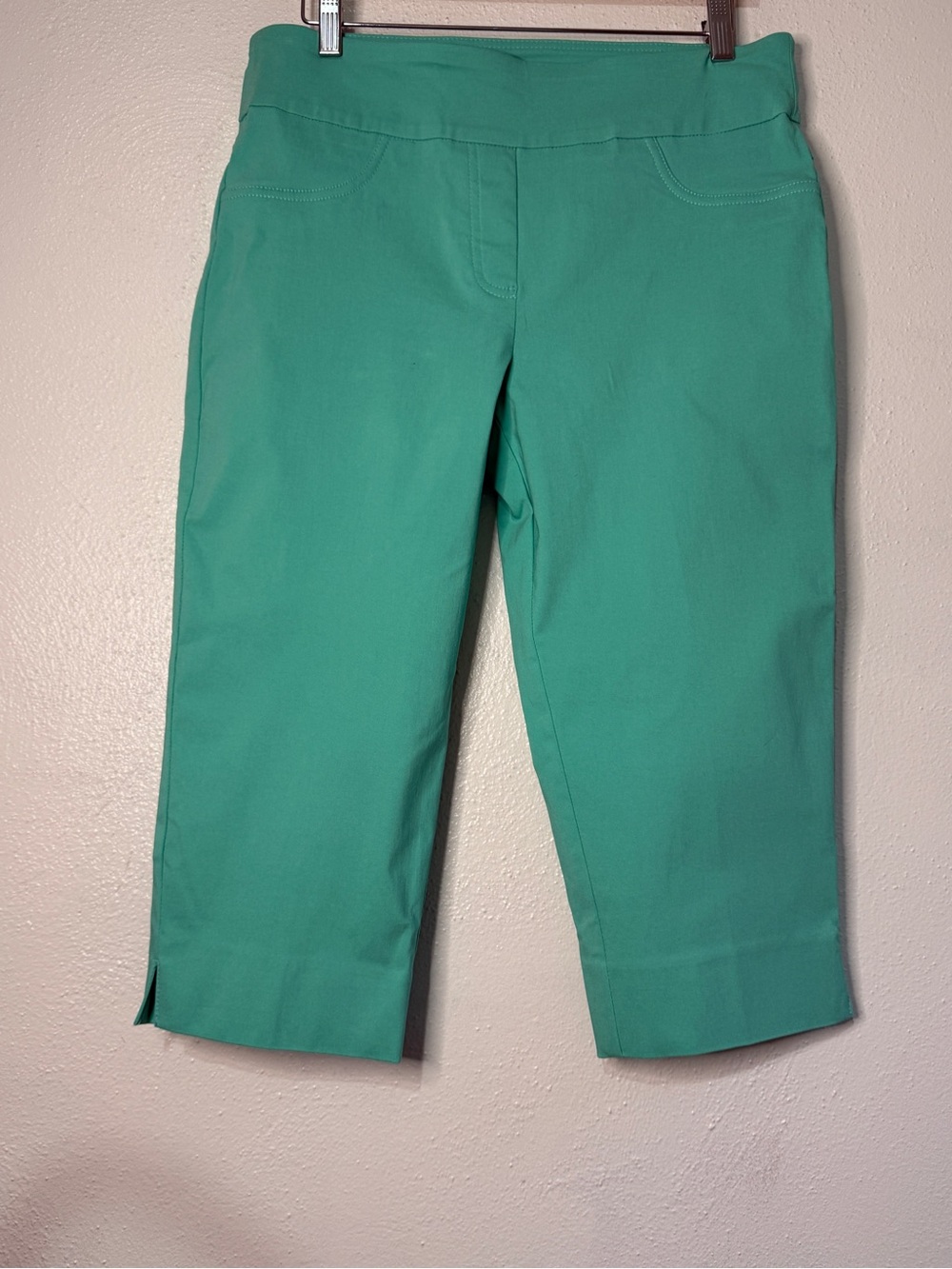 Ruby Rd. Cropped Ponte Pants in Seafoam Green w/slimming waistband. Sz 10. NWT.